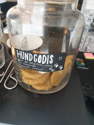 Hundgodis at Jord in Malmo