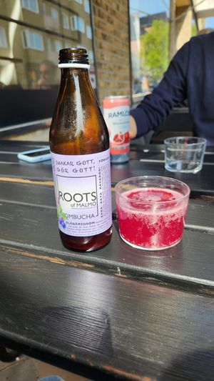 Blueberry kombucha at Jord in Malmo