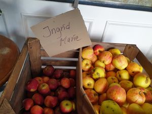 Local apples for sale at Bageri Leve in Malmo