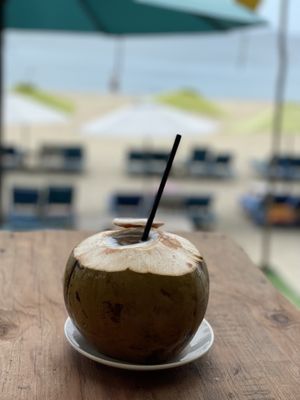 Fresh coconut - The Fisherman Vegan Restaurant, An Bang Beach, Hoi An  at The Fisherman Vegan Restaurant   in Hoi An
