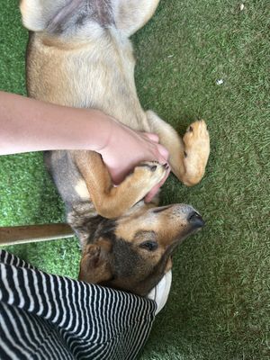   at The Fisherman Vegan Restaurant   in Hoi An