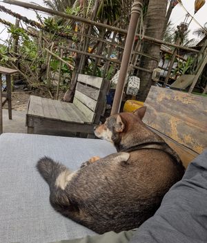  at The Fisherman Vegan Restaurant   in Hoi An