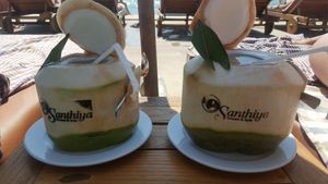 Fresh young Cocoanut at Chantara Restaurant in Surat Thani