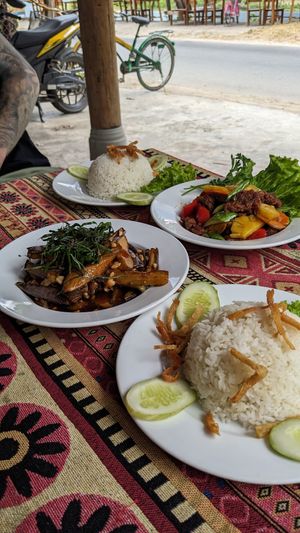 Aubergine and peanuts, rainbow veggies and vegan pork at Phong Nha Vegan in Phong Nha