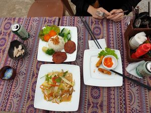 Spring rolls were great and are already almost finished... at Phong Nha Vegan in Phong Nha