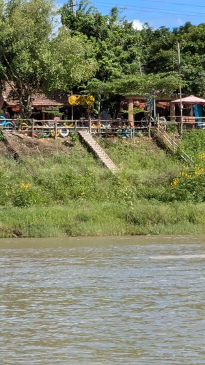  at Phong Nha Vegan in Phong Nha