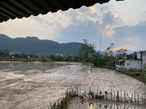 Area nearby…can walk to restaurant   at Phong Nha Vegan in Phong Nha