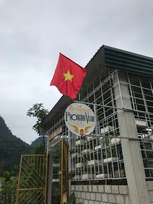 Phong Nha Vegan at Phong Nha Vegan in Phong Nha