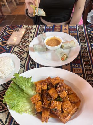 Spring rolls (6), caramel tofu  at Bamboo Chopsticks in Phong Nha