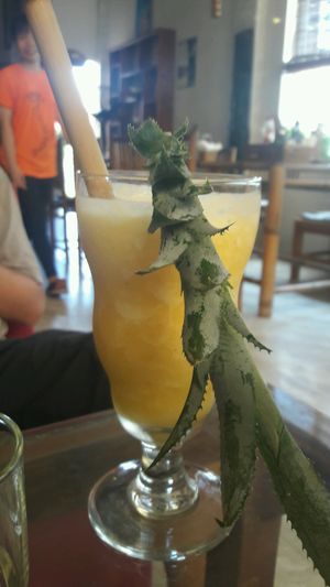 ginger pineaple smoothie at Bamboo Chopsticks in Phong Nha