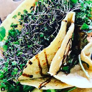 Greens crepe with micro greens!!!!!  at Crepe Hearts - Food Truck in San Francisco