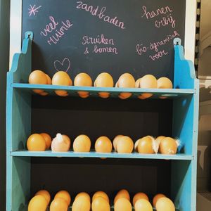 Pak zelf je eitjes at De Bionier in West-terschelling