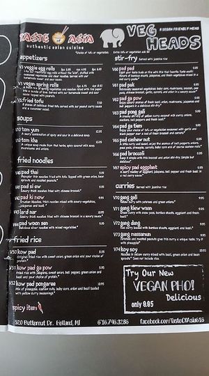 Veg Heads-vegan friendly menu at Taste of Asia in Holland