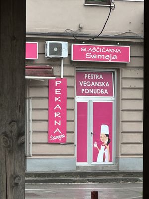   at PiranArt Sameja in Ljubljana
