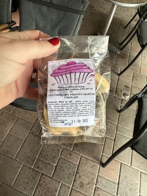   at PiranArt Sameja in Ljubljana