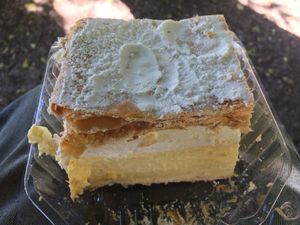 A very decadent Slovenian vegan cream cake at PiranArt Sameja in Ljubljana