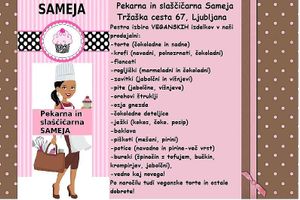 Vegan options at PiranArt Sameja in Ljubljana