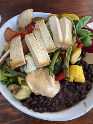 Veggie bowl with added todu   at Rabano in Hermosa Beach