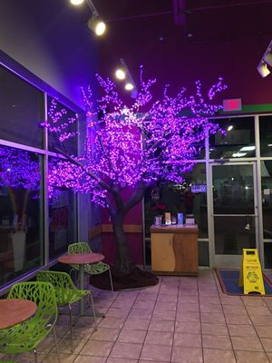 Inside the Cafe' at night at Tree City Juice and Smoothie Cafe in Meridian