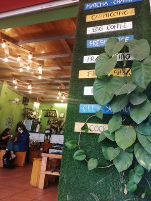 Cute Cafe at Like Coffee in Cat Ba