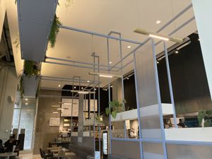   at Virtuous Pie - UBC in Vancouver