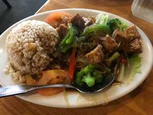 Teriyaki tofu salad and gravy at Merit Vegan Restaurant in Sunnyvale