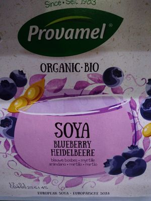 Vegan joghurt at Vegetaria in Bari