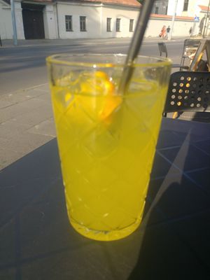  at RoseHip Vegan Kebabs in Vilnius