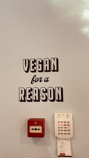   at RoseHip Vegan Kebabs in Vilnius