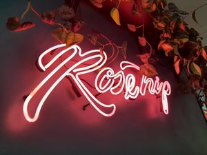  at RoseHip Vegan Kebabs in Vilnius