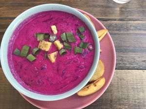 Starters/ cold beetroot soup w/ potatoes at RoseHip Vegan Kebabs in Vilnius