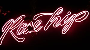 Sign at RoseHip Vegan Kebabs in Vilnius