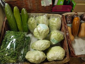 Organic veggies at Quan Fa Organic 全发有机农场 in Northeast Singapore