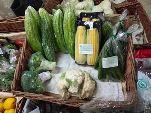 Organic veggies at Quan Fa Organic 全发有机农场 in Northeast Singapore