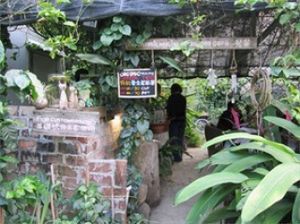 4 at Herboland in Outlying Islands