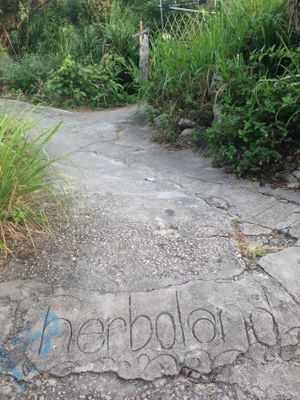 The writing in the concrete and the gate... at Herboland in Outlying Islands