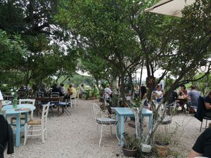 Restaurant at La Paloma in Ibiza