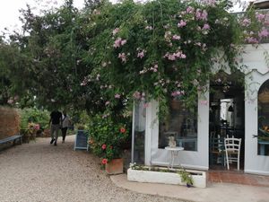 Eingang at La Paloma in Ibiza