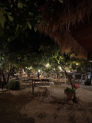   at La Paloma in Ibiza