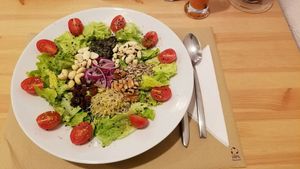 Gaia Salad at Bar Ecologico Gaia in Sevilla