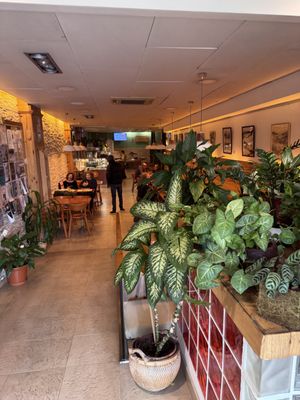 Inside  at EcoCentro in Madrid