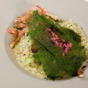Sea trumpet cream risotto at Monk's Butcher - Itaewon in Seoul