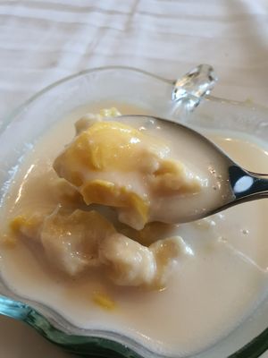 Durian coconut milk sticky rice at Sabai Fine Thai in Central Singapore