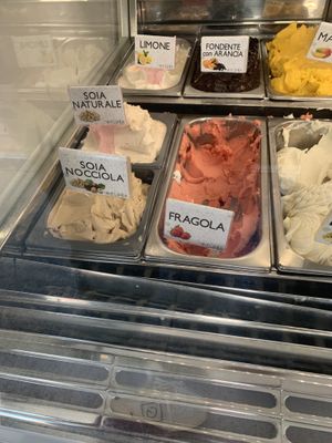 ☀️🍨🌱  at Bar Gelateria Flora in Riva Del Garda