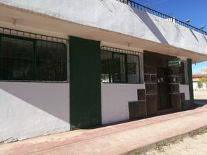 Frontis at Garden of Vegan in Urubamba