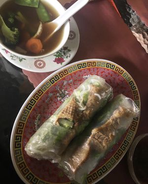 Vegan soup and vegan spring rolls with mock duck.   at Vo's Vietnamese Restaurant in Minneapolis