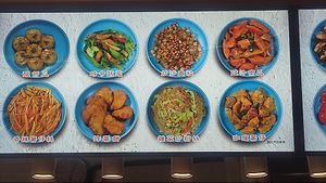 Menu (Photo by Eson Lee) at Gohappy Veggie 同樂素食 in Kowloon