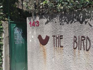Door at The Bird in Porto