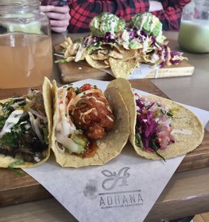 Tacos  at Adhana in Santiago