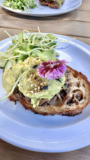 Avocado toast with mushrooms   at Great Basin Community Food Co-op in Reno